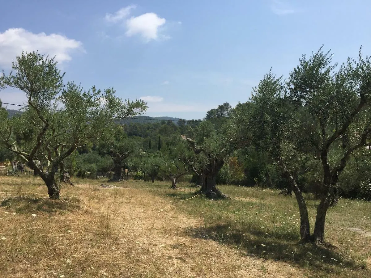 Gîte L'instant, pleine nature Belgentier Hébergement de vacances